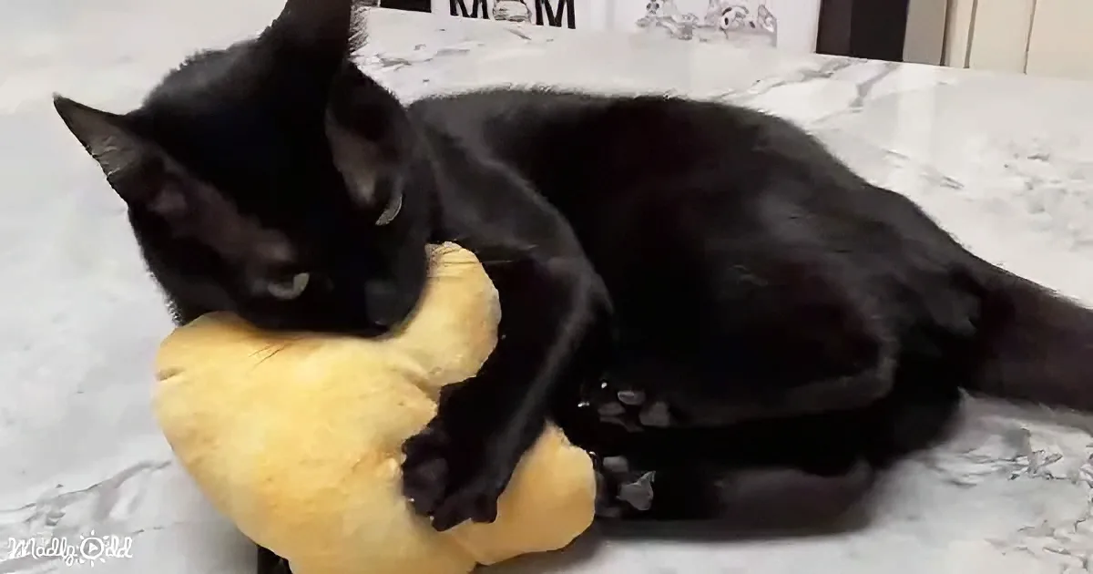 A black cat is curled up on a yellow plush toy, appearing relaxed on a white marble surface.