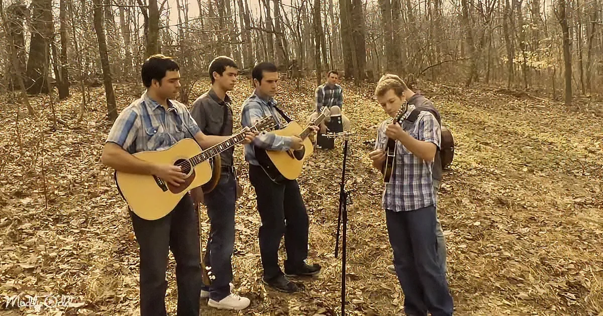 Five young men play acoustic instruments in a forested area with fallen leaves.
