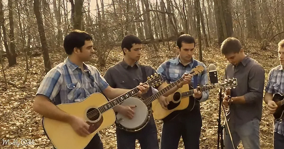 A group of five young men play acoustic instruments in a forest setting.