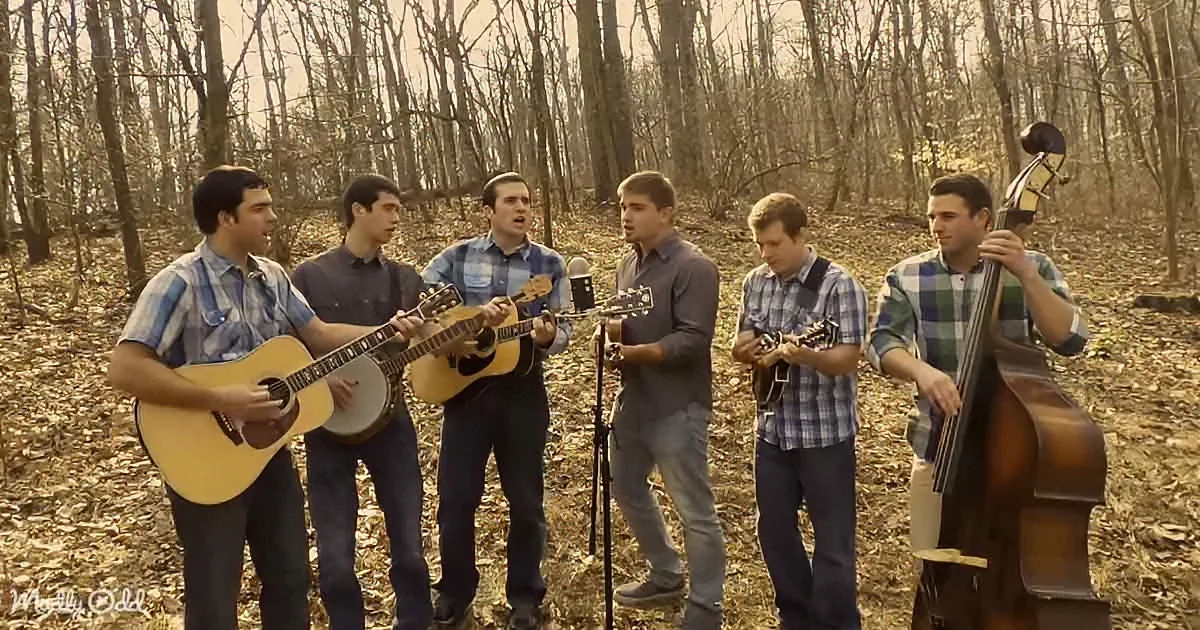 'I'll Fly Away' Soars With Nature's Acoustics in the Heart of the Woods