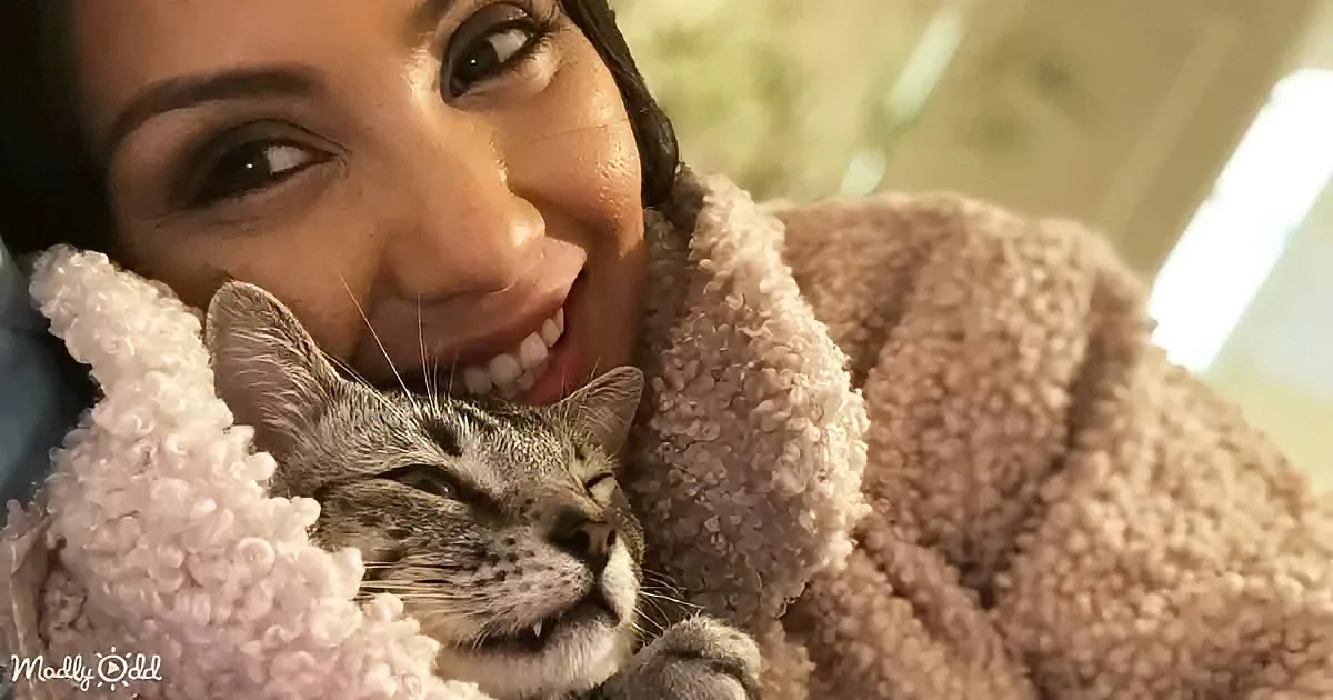 A smiling woman in a fluffy robe holds a relaxed tabby cat wrapped in a pink blanket.
