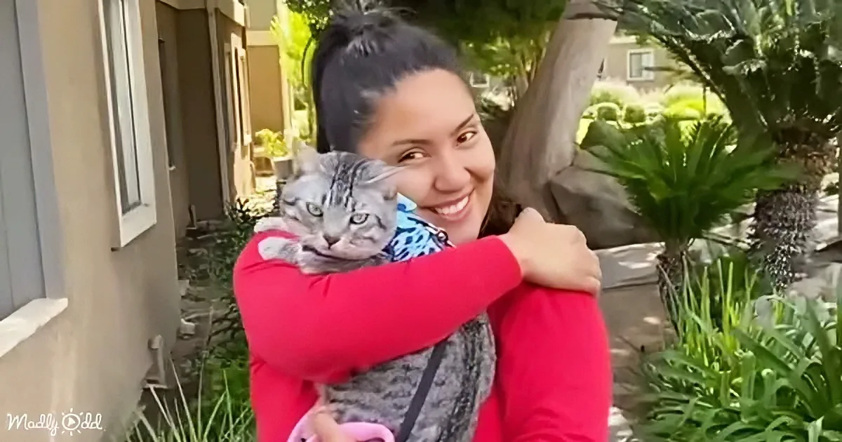 A woman in a red shirt hugs a gray tabby cat in a garden setting.
