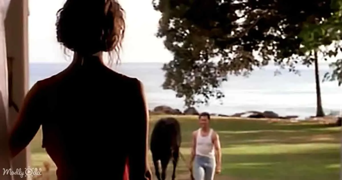 A woman stands by a door, silhouetted against a scenic beach backdrop with a man and horse walking nearby.