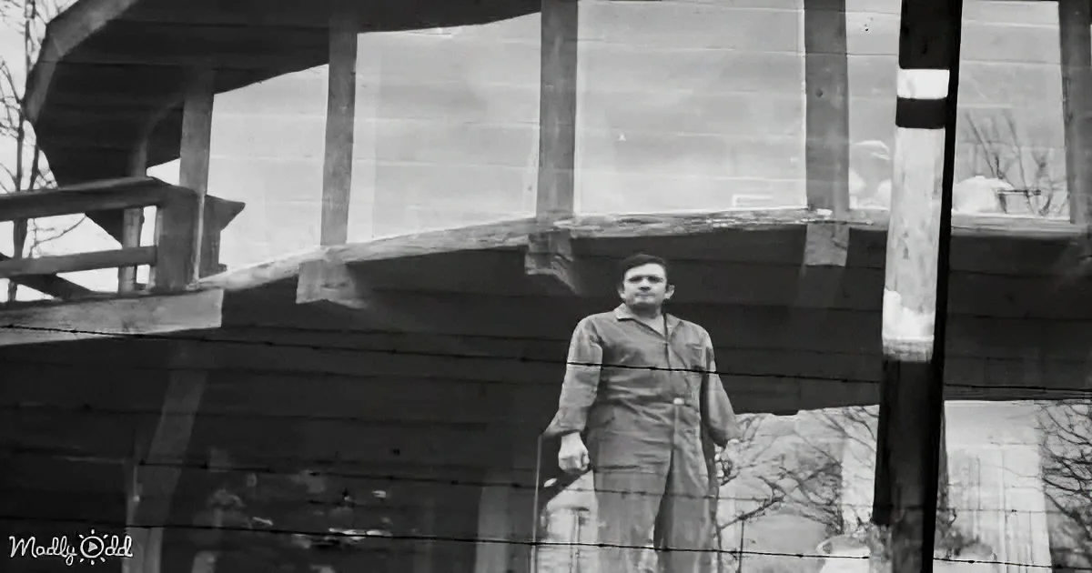 A man in a jumpsuit stands behind barbed wire, with a wooden structure and trees in the background.