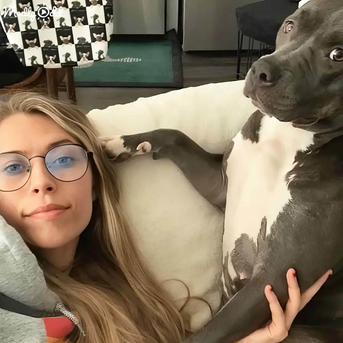 A woman with glasses and long hair is lying on a couch, cuddling a large gray and white dog.