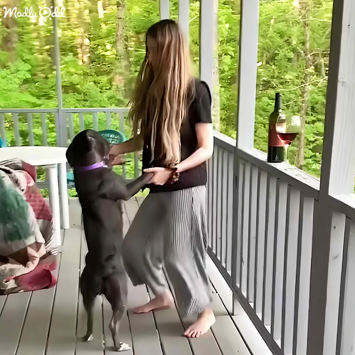 A woman stands on a porch, holding hands with a dog, both facing a lush green forest.