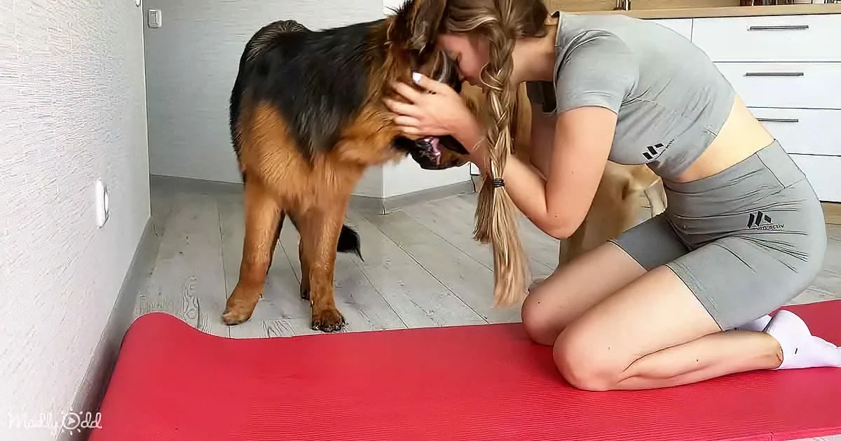 A woman in workout attire kneels on a red mat, petting a German Shepherd dog indoors.