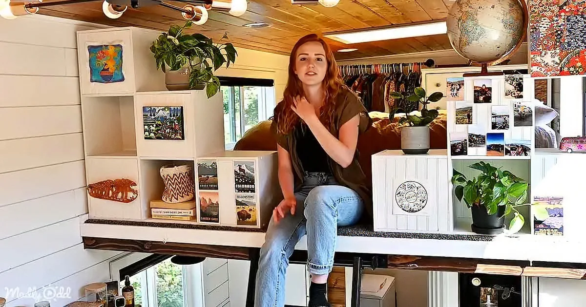 A woman sits on a shelf in a cozy, well-decorated room with plants, books, and a globe.