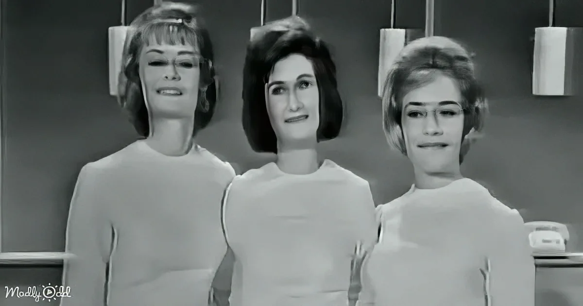 Three women in matching white tops stand side by side, smiling, in a room with hanging lights.