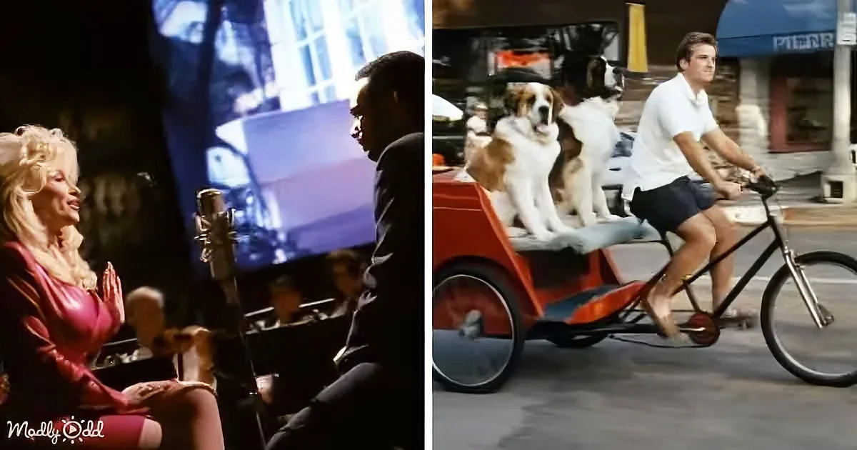 A man rides a bike with two dogs in a cart while a woman sings into a microphone.