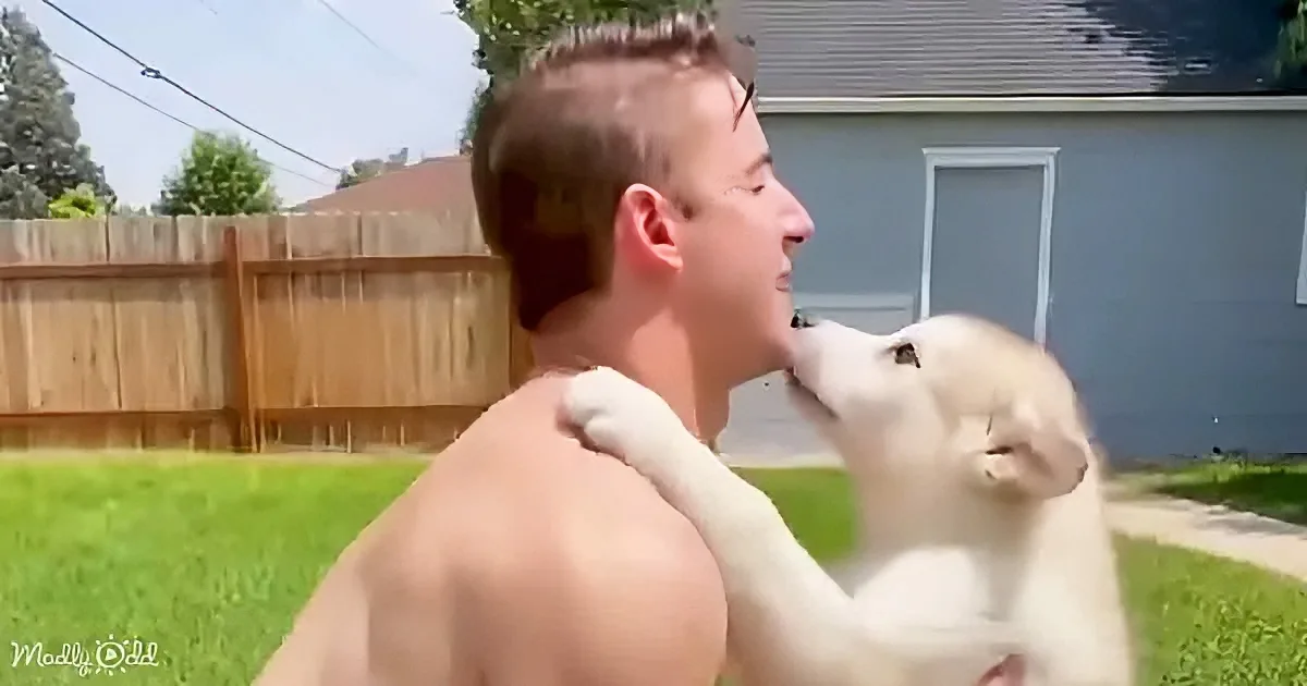 A man with a white dog on his shoulder, both outdoors in a backyard setting.