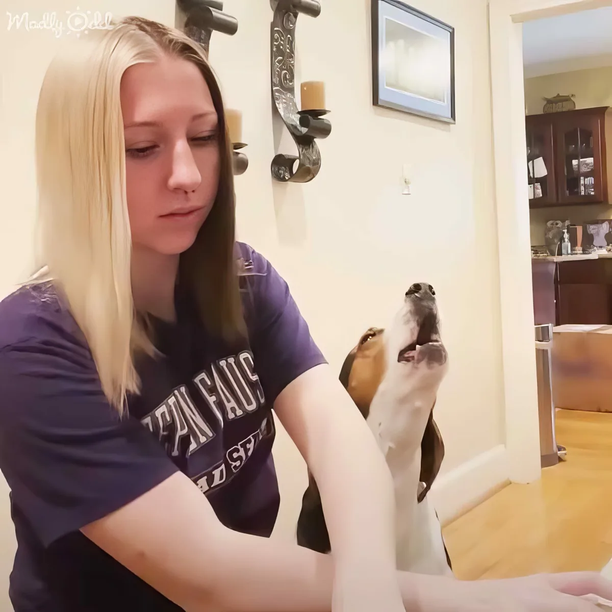 A woman in a purple shirt is petting a dog with its head up, in a cozy indoor setting.