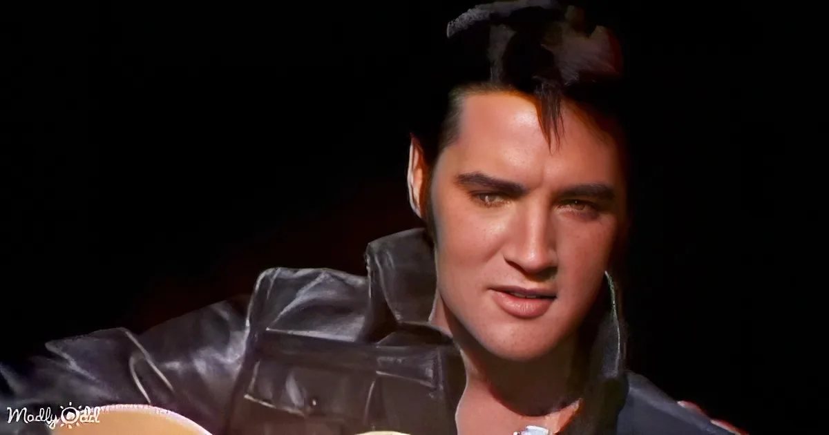 A man in a leather jacket holding a guitar, with a dark background.