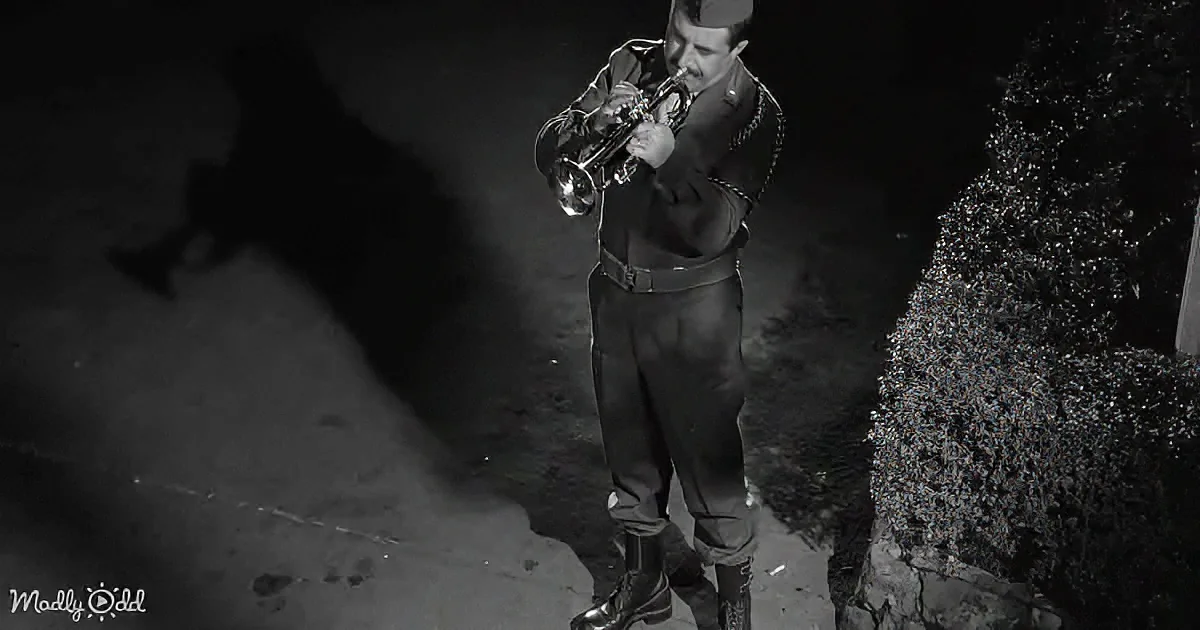A man in uniform plays a trumpet under a spotlight, casting a shadow on the ground.