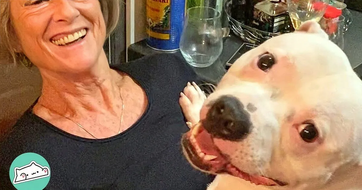 Woman Yearned for Grandchild, Receives Loving Staffy Surprise