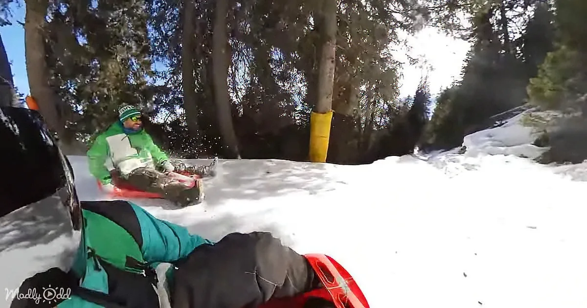 A person in a green jacket sleds down a snowy slope, surrounded by trees and snow.