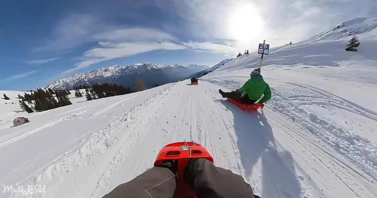 Thrilling Snow Toboggan Descent Goes Viral for Good Reason