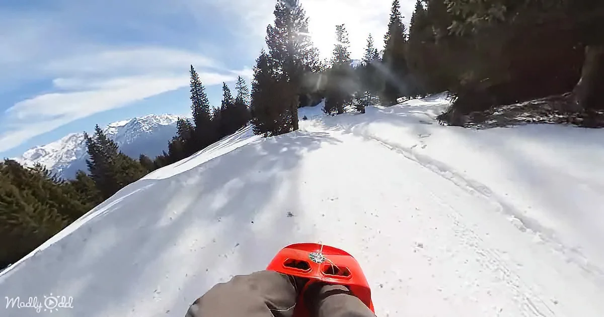 A person sleds down a snowy slope, wearing a red helmet, with evergreen trees and distant mountains in the background.
