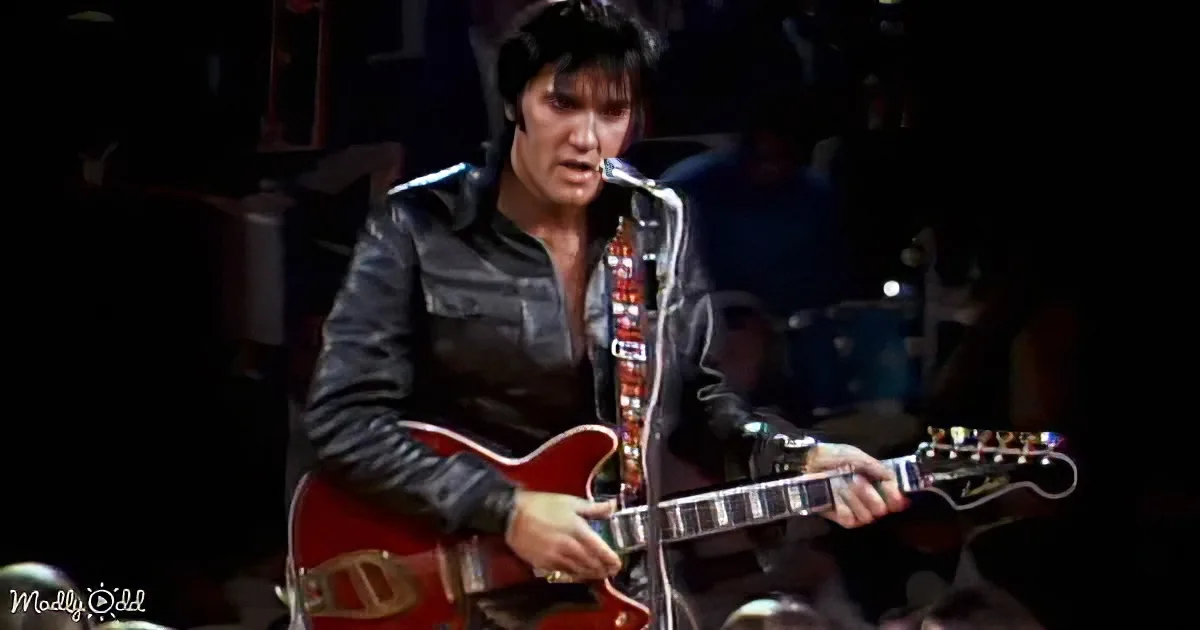 A man in a black leather jacket plays a red guitar on stage, singing into a microphone.