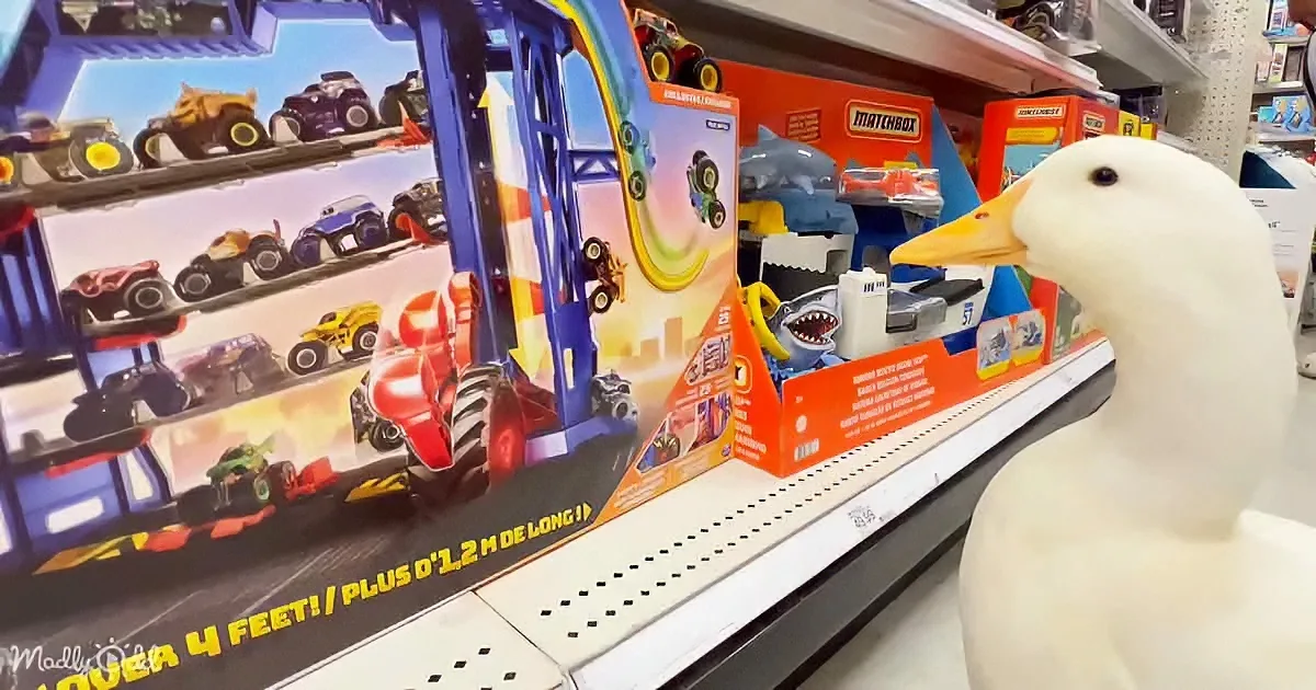 A white duck statue stands in front of a toy truck display with monster trucks and a shark-themed playset.