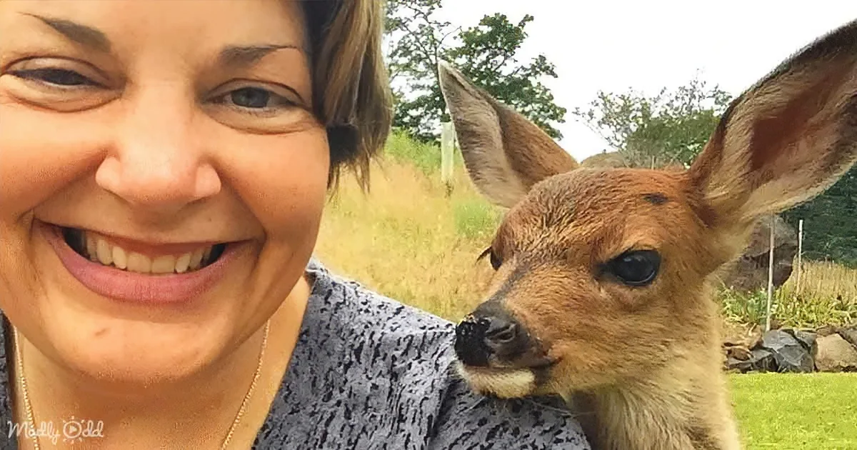 A smiling woman holds a baby deer, both enjoying a moment together in a grassy outdoor setting.