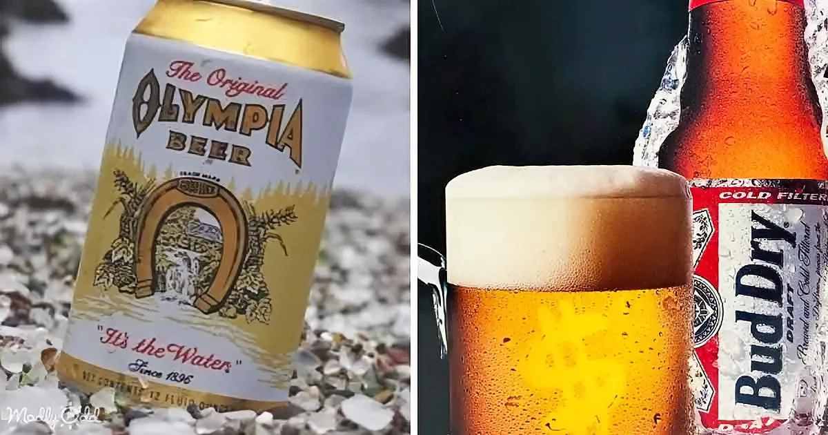 A can of Olympia Beer and a glass of Bud Dry beer with ice, both on a rocky surface.