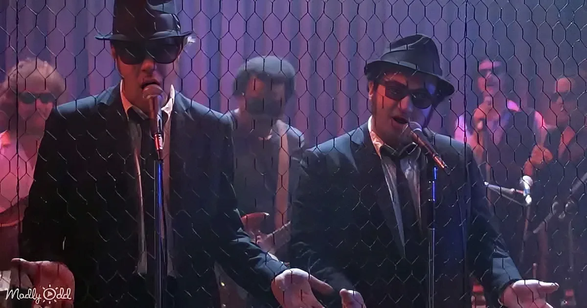 Two men in black suits and hats sing into microphones, surrounded by musicians and a chicken wire backdrop.