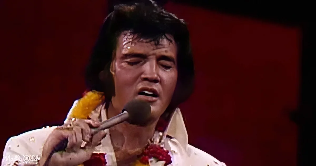 Elvis Presley in a white sequined suit sings into a microphone on stage.