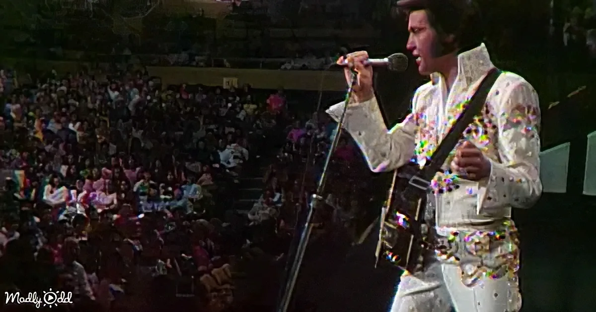 A performer in a glittery white suit sings into a microphone on stage, surrounded by a large audience.