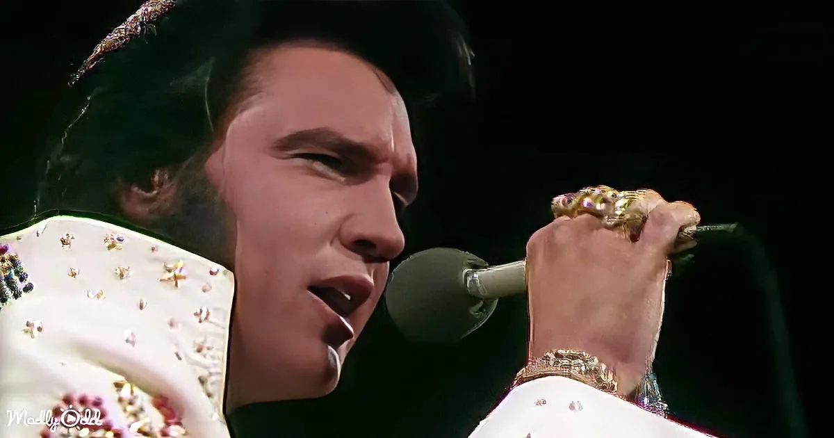 Get up and Dance to Elvis Presley's 'See See Rider'