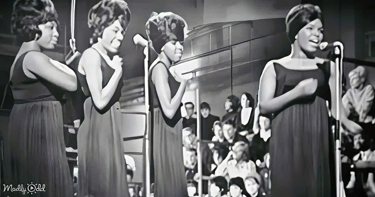 Four women in black dresses sing into microphones on stage, audience in the background.