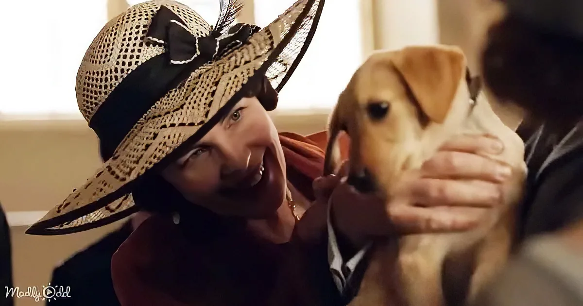 A person in a straw hat holds a small dog, both smiling warmly.