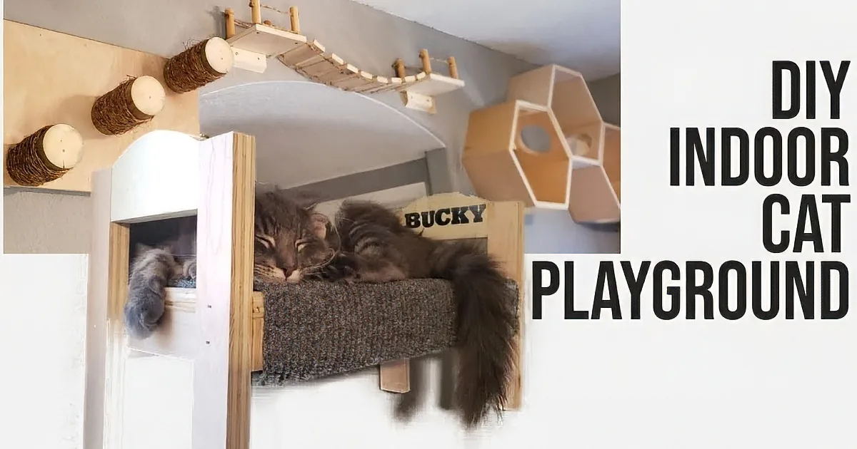 Must-See Ultimate Diy Indoor Cat Playground