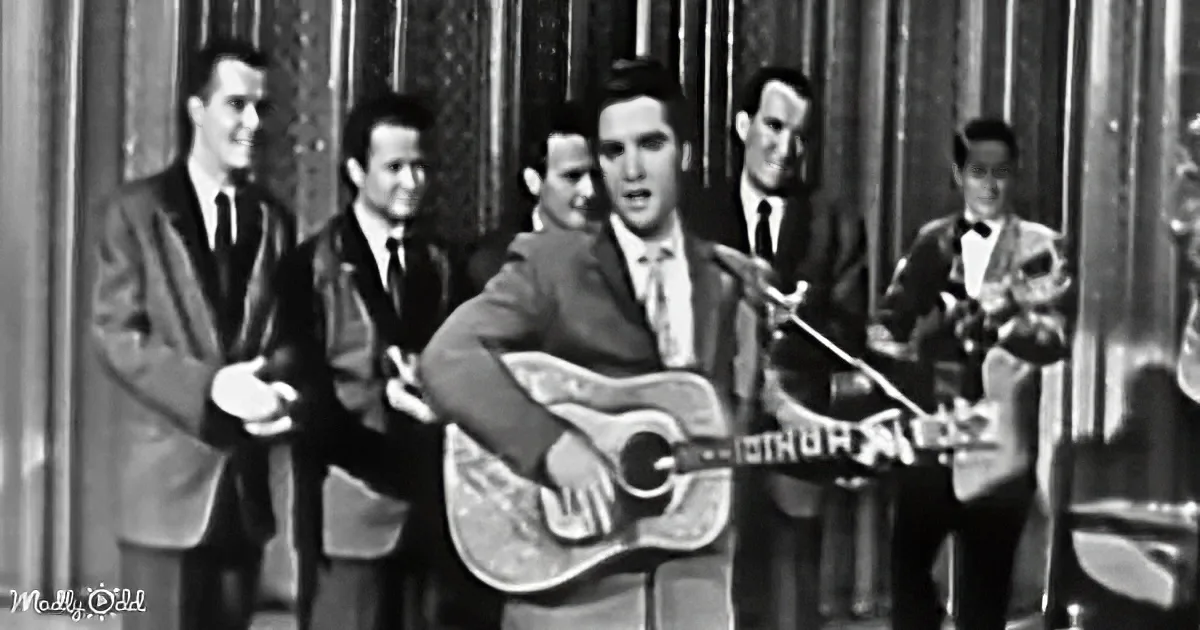 Elvis Presley plays guitar on stage with a band, wearing a suit and tie.
