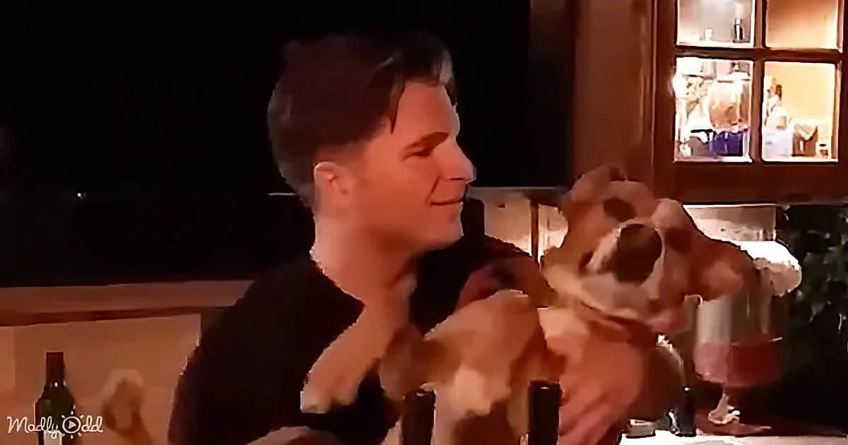 A man smiles while holding a dog, both in a warmly lit room with a window in the background.