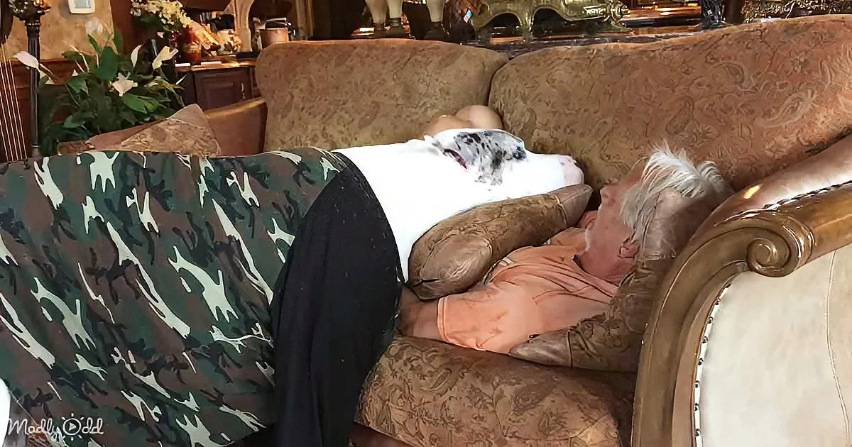 A man sleeps on a couch with a large white dog resting its head on his chest.