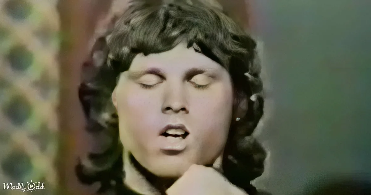 A person with curly hair and a hand near their mouth, possibly singing or speaking.