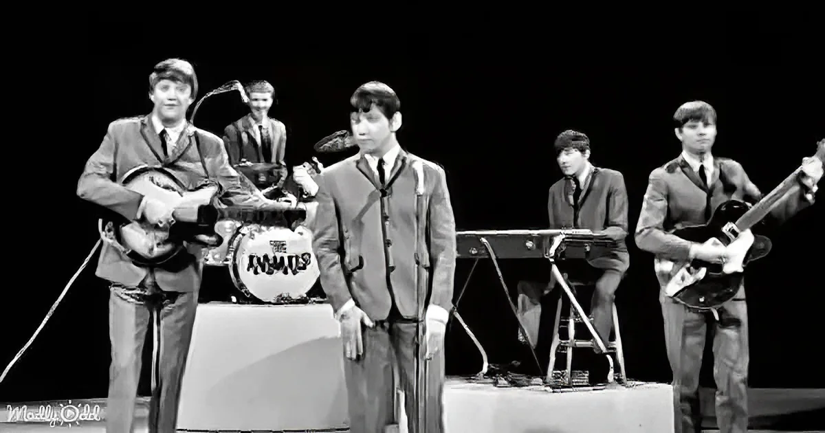 The Animals band performs on stage with guitars and drums, dressed in suits.