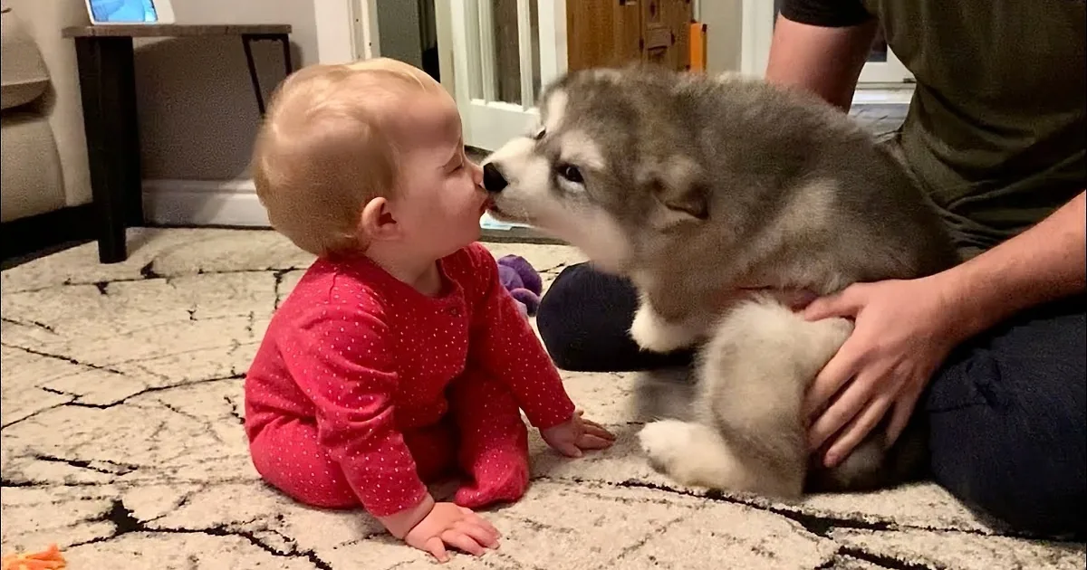 Unbreakable Puppy Love: Kids and Pup Will Warm Your Soul