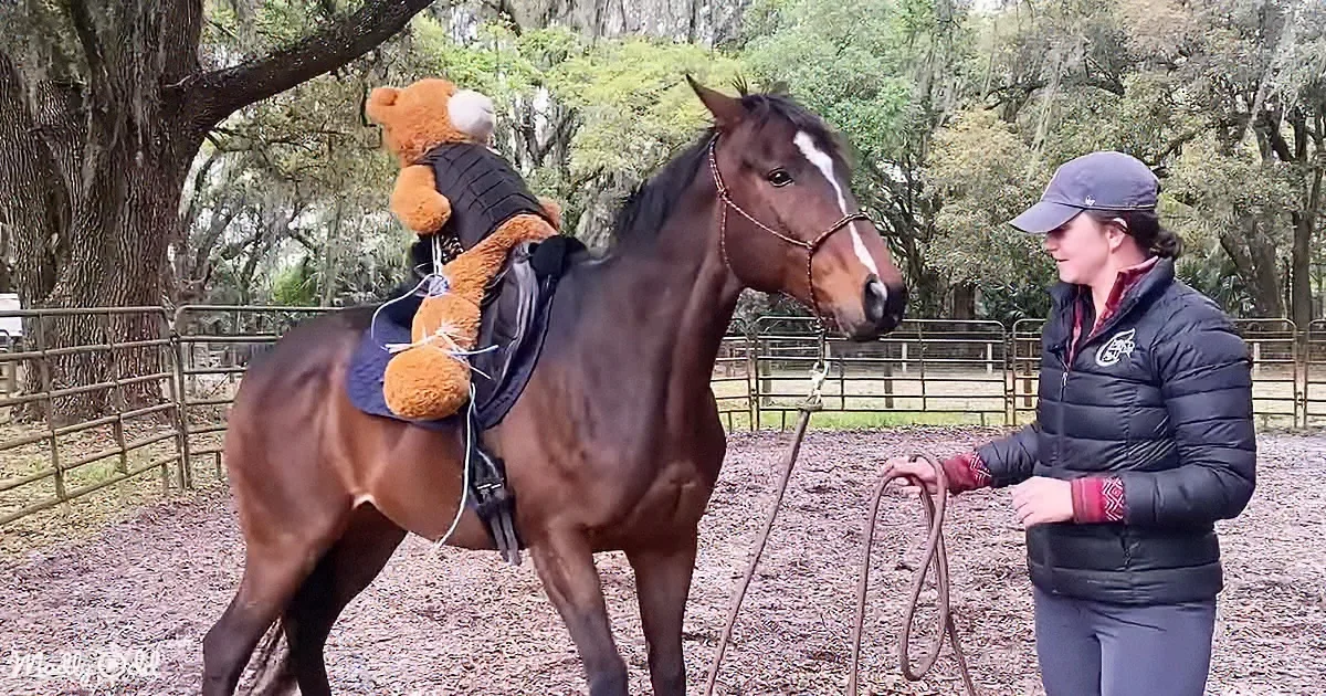 Fearless Rider Calms Bucking Horse With Heartwarming Kindness