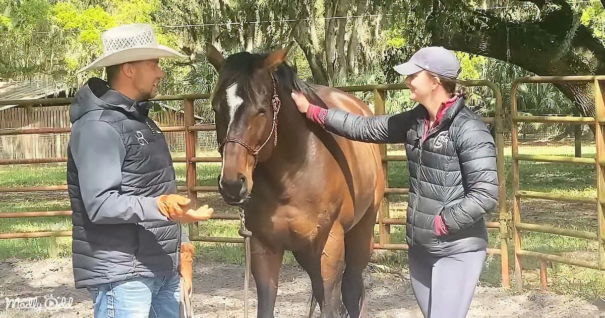 A man in a cowboy hat and a woman in a cap are interacting with a horse in a fenced area.