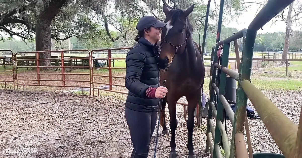 A woman in a black jacket pets a brown horse in a fenced outdoor area with trees and grass.