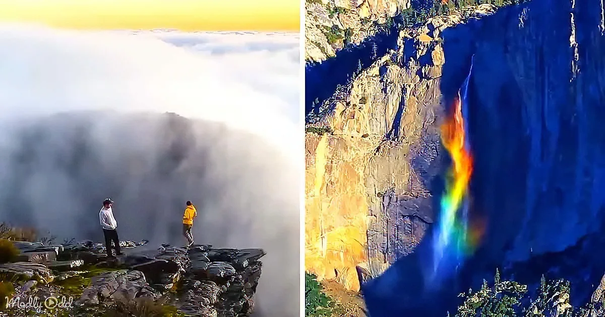 Two people stand on a cliff edge overlooking a sea of clouds, with a vibrant rainbow cascading down a cliff face.