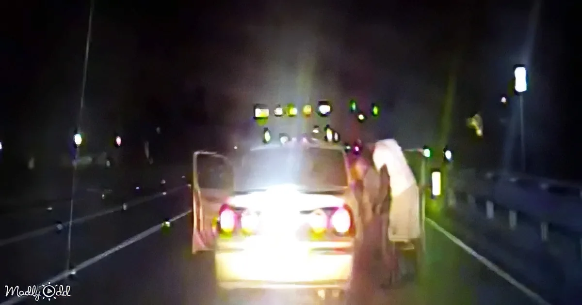 A police car with its lights on is stopped on the side of a road at night.