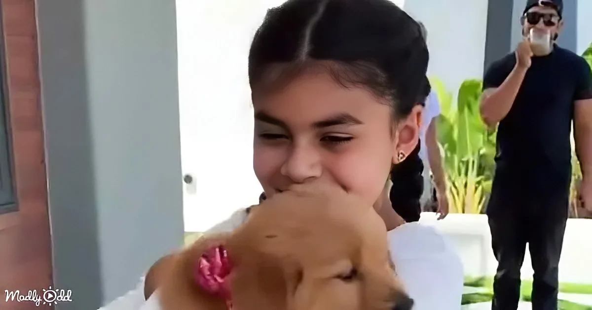 A girl smiles as a dog licks her face, with a man in sunglasses drinking in the background.