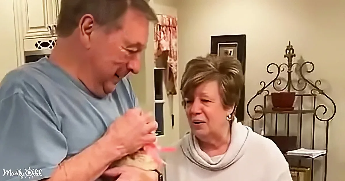 A man holds a newborn baby while a woman looks on, both smiling in a cozy home setting.