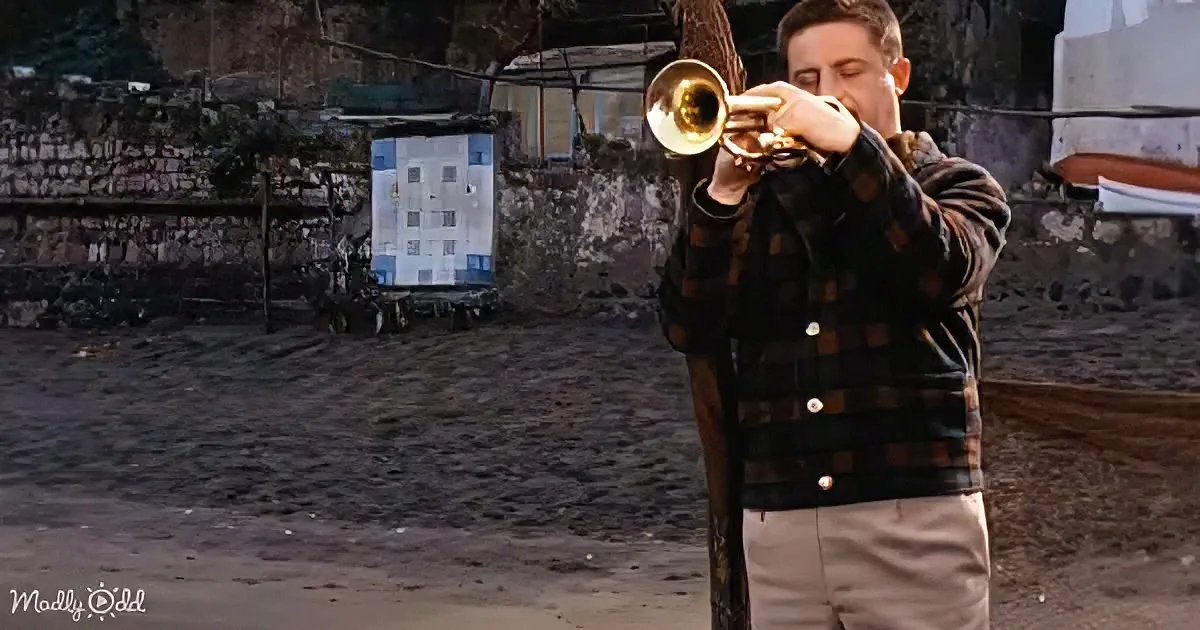 A man in a plaid shirt plays a trumpet in an outdoor setting with a stone wall and a blue sign in the background.