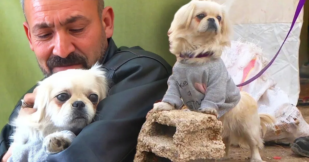 A fluffy white dog with dark eyes and a man with a beard and mustache leaning in close.