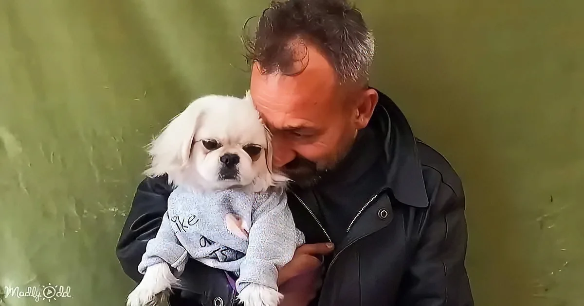 A man in a black jacket holds a small white dog wearing a sweater, both appear content.