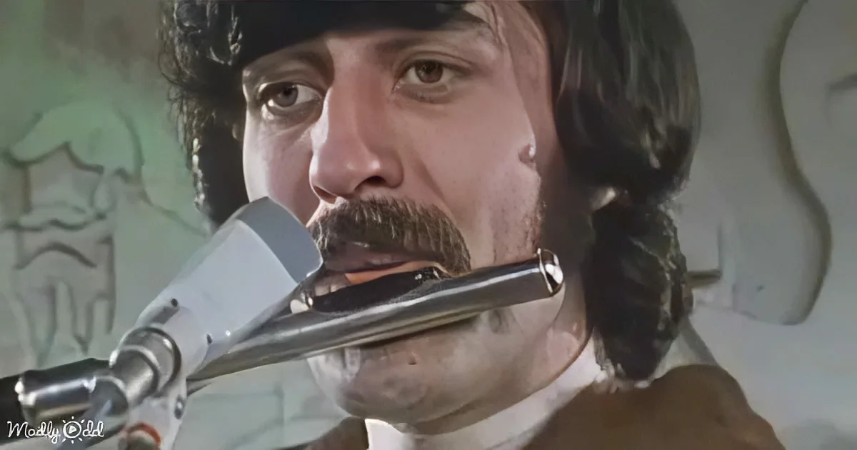 The Moody Blues